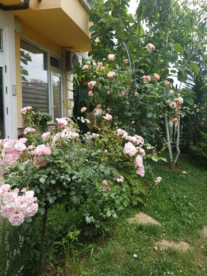 Guesthouse Zanier Nesebar Luaran gambar